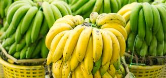 beberapa jenis pisang di indonesia